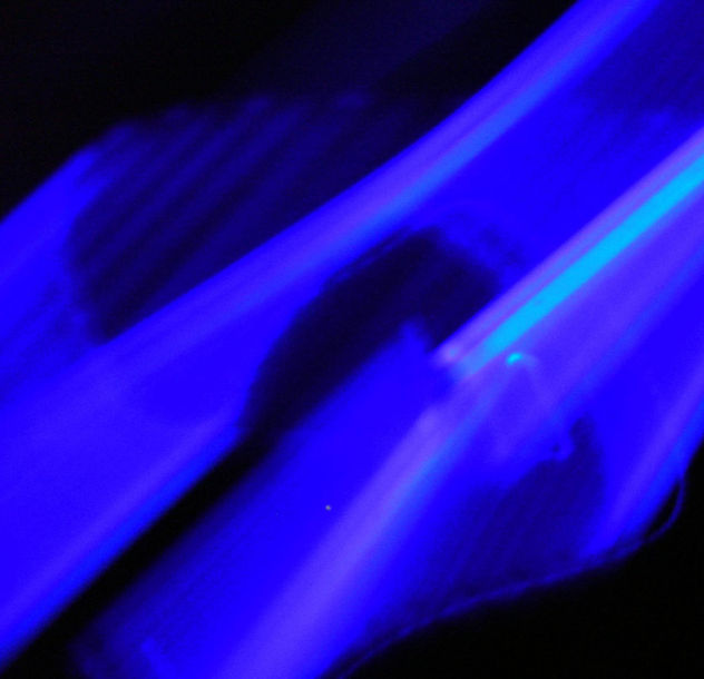 S/T