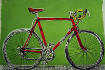 Miyata, media pista