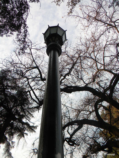 FAROL ENTRE ÁRBOLES DE INVIERNO... Otras temáticas Color (Digital)