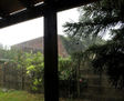 Lluvia ácida