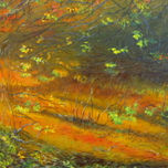 paisajes extraños thumbnail 1