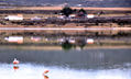 Laguna  Santa María