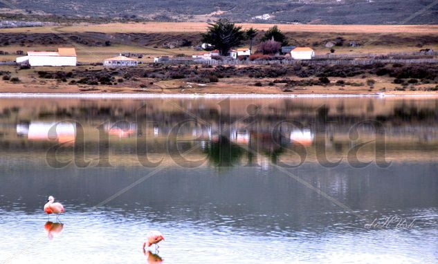 Laguna  Santa María Naturaleza Color (Digital)