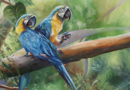 Guacamayos azul y...