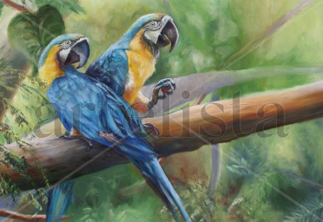 Guacamayos azul y amarillo