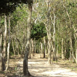 PAISAJES thumbnail 1
