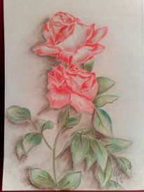 Rosas