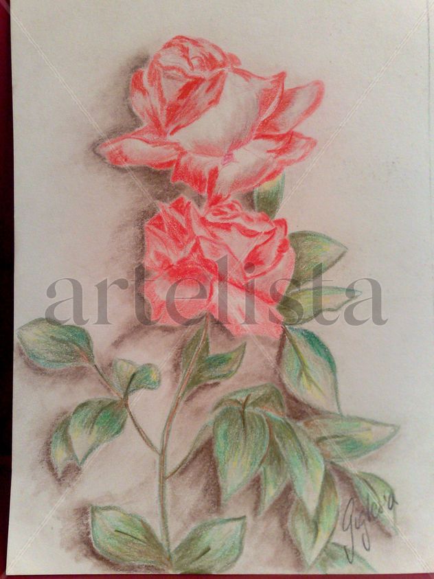 rosas