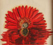 Flor roja