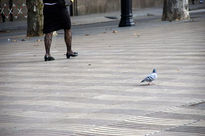 La Rambla.