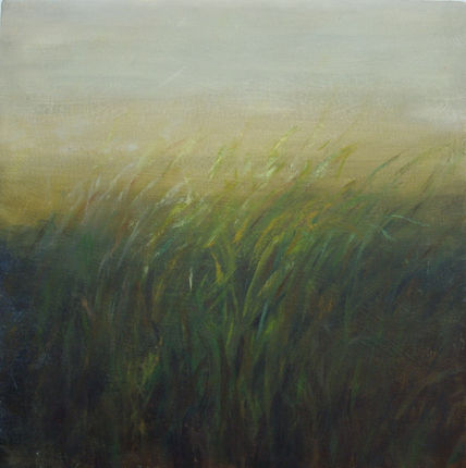 Campo al atardecer