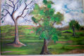 Paisaje Sabanero.