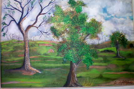 Paisaje Sabanero.