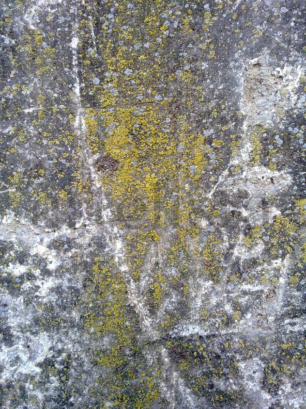 Pared 2. 150x112.
