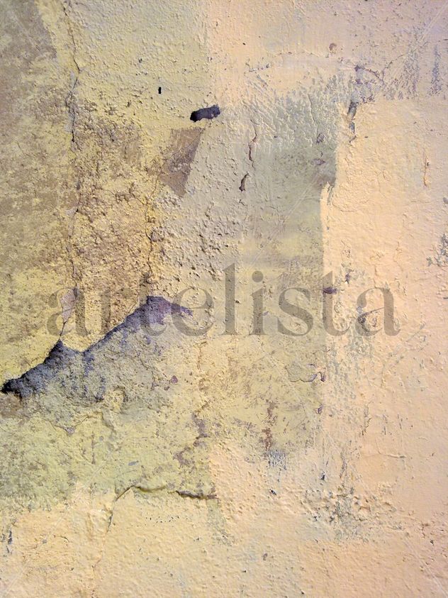 Pared 1. 150x112.