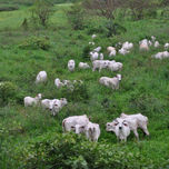 Paisaje thumbnail 2