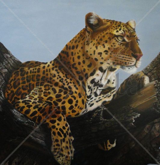 descanso felino Oil Canvas Animals