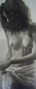 Pareo