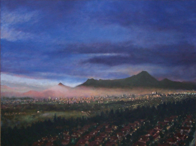 Manquehue  noche Oil Canvas Landscaping