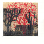 MONOTIPO 2011 thumbnail 1