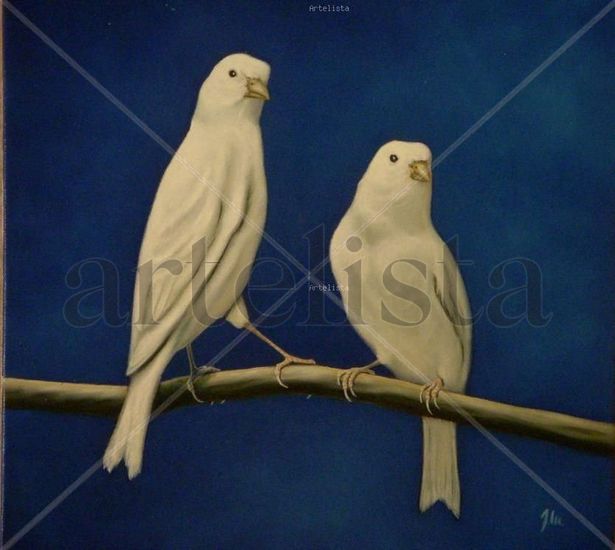 Canarios blancos Oil Canvas Animals