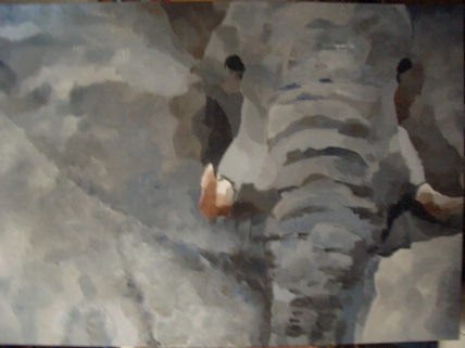 Elefante5