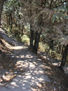 Paisajes del cerrito 1