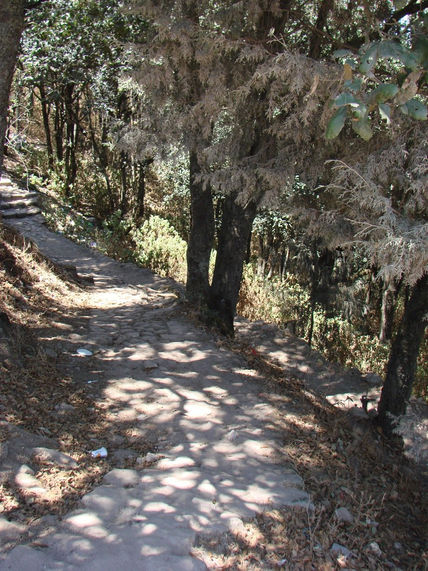Paisajes del cerrito 1