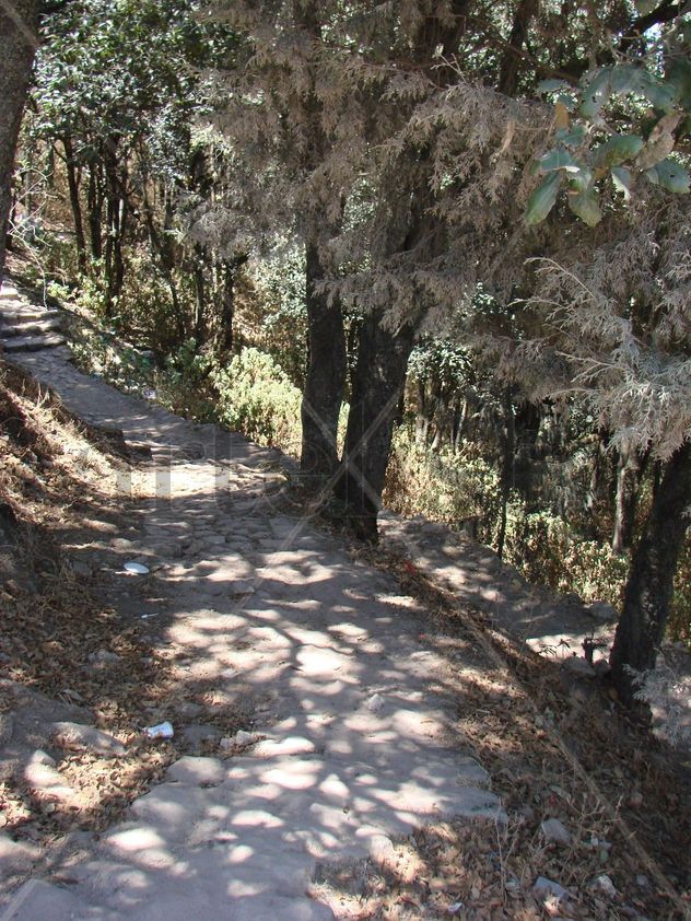 Paisajes del cerrito 1