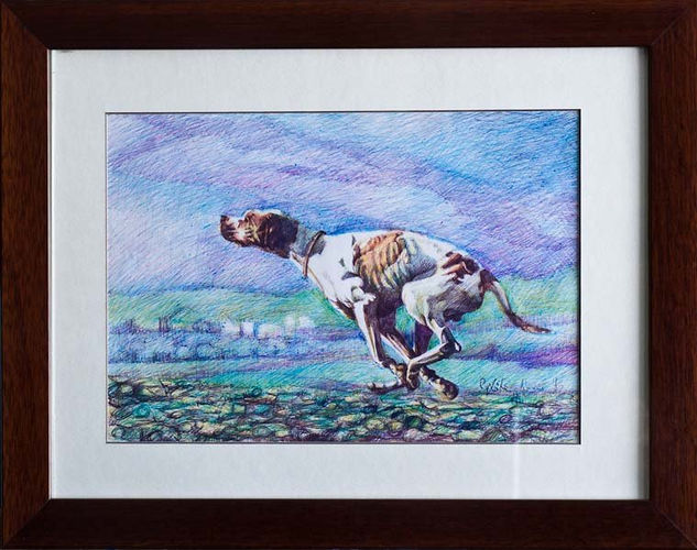 Pointer al galope Mixed Media