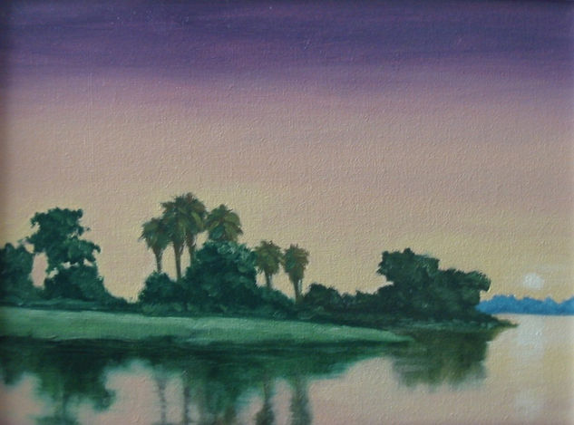 RIO GRANDE DE LA MAGDALENA Oil Canvas Landscaping