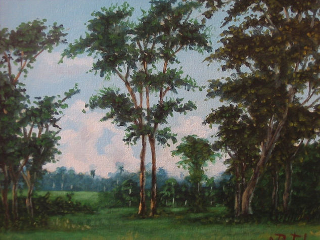 SELVA EN ORITO PUTUMAYO Oil Canvas Landscaping