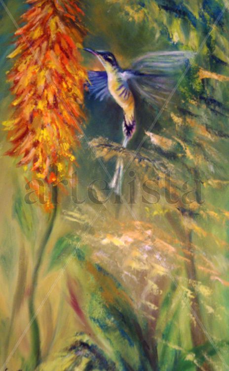 Colibri alimentandose