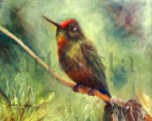 Colibri Oil Canvas Landscaping