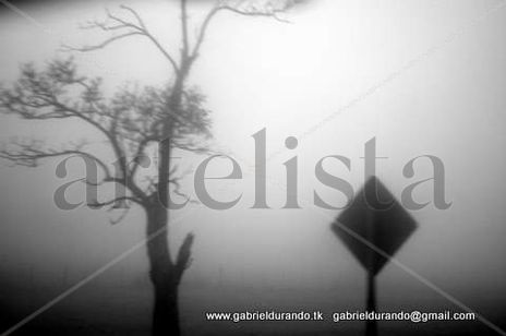Fog