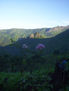 amanecer
