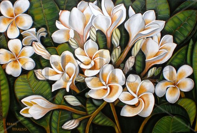 White Plumerias Oil Canvas Floral Painting