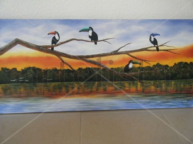 tucan 1