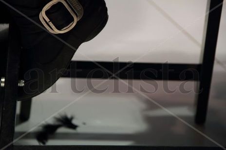 Vestigio viandante