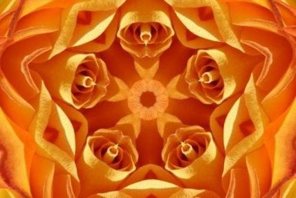 Mandala floral