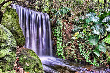 Cascada