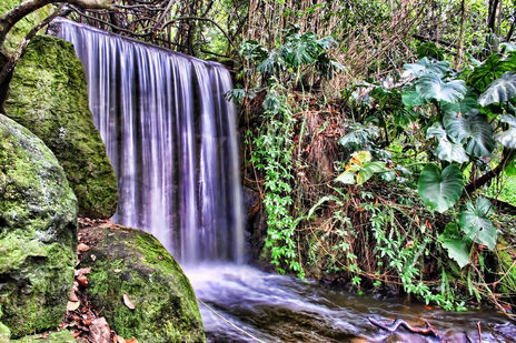 Cascada