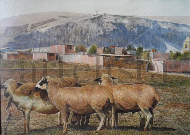 cerca de mi tierra