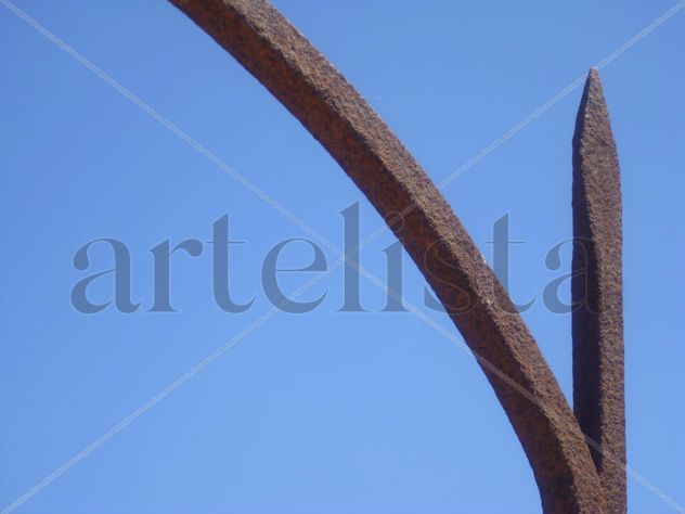 BAJO EL CIELO (II)