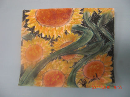 Noche de girasoles