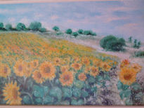 Girasoles en el monte