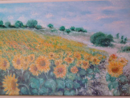 Girasoles en el monte