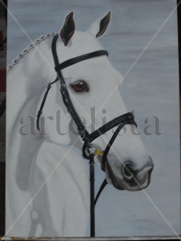 andaluz