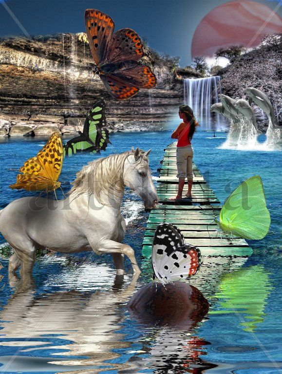 La laguna de las mariposas / The Butterfly`s Lake