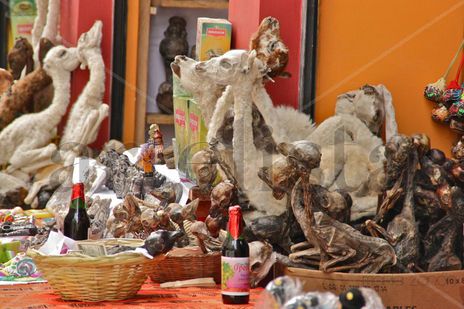 Pocimas,amuletos...